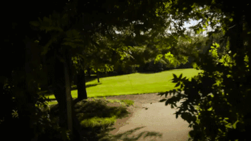 arboretum GIF by Grand Valley State University