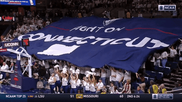 Fight Uconn GIF