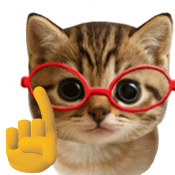Cat No GIF