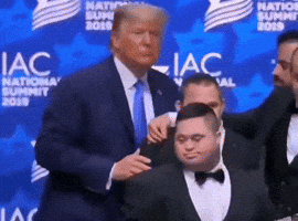 Donald Trump GIF