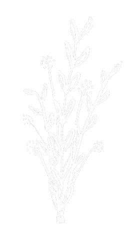 Bouquet Blumenstrauss Sticker by Jule Scherer Schrift & Design