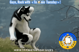 GIF by Toonie Tuesday