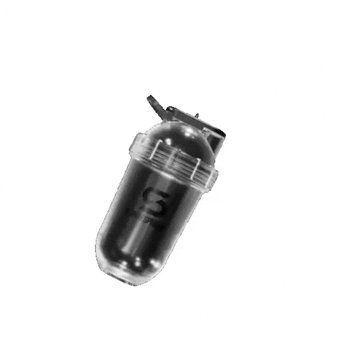 Gym Wellness GIF by Eszter Beardsell