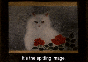 200.gif?cid=fc005b08e3c0bec1d9f1033e655444c88a9f614803a3ff77&rid=200.gif&ct=g