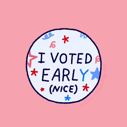 Voting Election 2020 GIF by Lizzy Itzkowitz