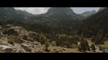 200.gif?cid=fc005b08d89f1ea0172188ee504cf3723b8d48e8004601b3&rid=200.gif&ct=g