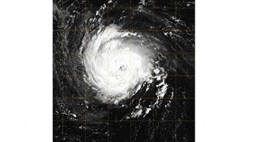 hurricane satellite GIF by NASA