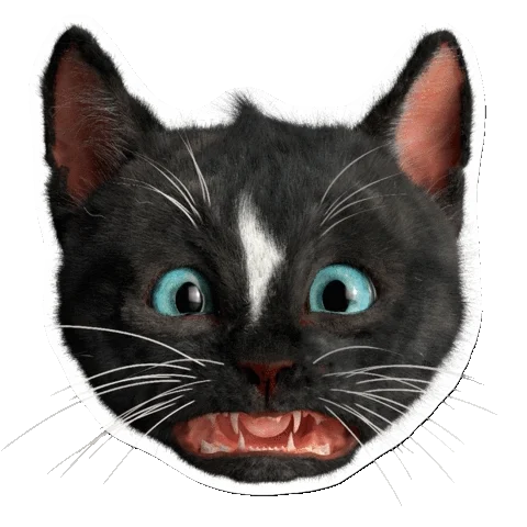 Funny Cat Reaction Sticker