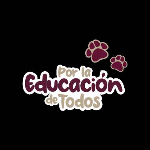 seduc campeche GIF