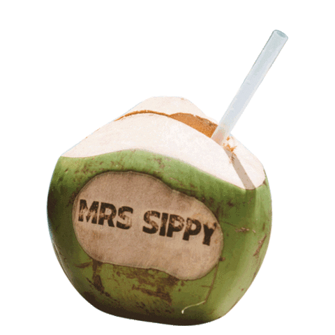 Coconut Seminyak Sticker by Mrs Sippy Bali
