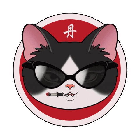 Cat Sunglasses Sticker