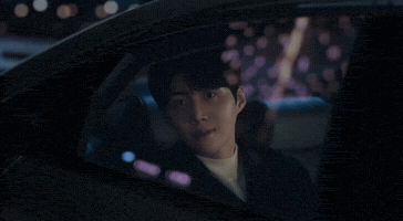Kim Seon Ho Car GIF