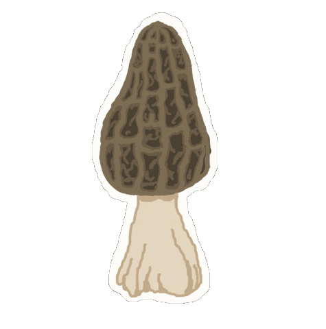 Mushroom Fungi Sticker