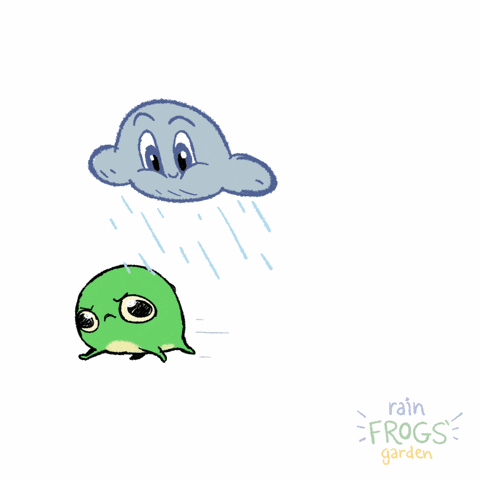 Rain Frog Running GIF