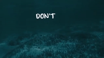 Nobody #Dontcare #Say #Hate #Speech GIF