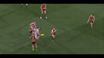 afl greenwood GIF by Adelaide Crows