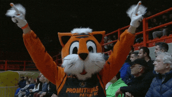 dance move GIF by Basketball Champions League
