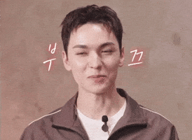 세븐틴 Vernon GIF