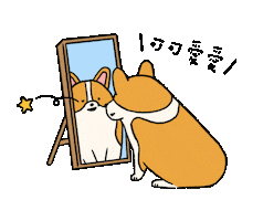 Dog Sticker