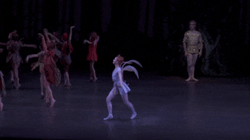 dance fairy GIF by New York City Ballet