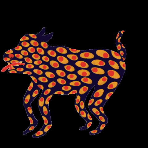 Nolisoli.ph GIF