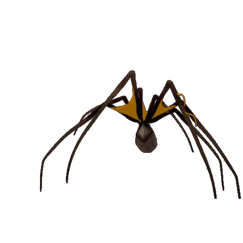 Animation Spider Sticker by Andarta Pictures