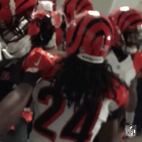 bengals GIF by NFL