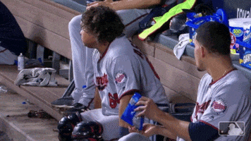 face seeds GIF by MLB