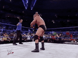 Brock Lesnar Sport GIF by WWE