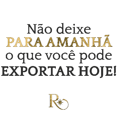 Realog Transportes Sticker