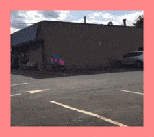 Fido Fid0 GIF
