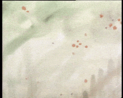 Tree Crash GIF by RiC - immer RiChtig cool!