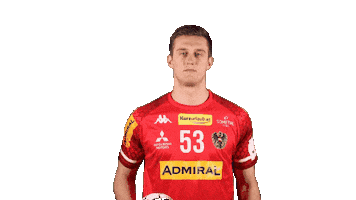 HandballAustria Sticker