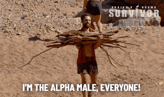 Alpha Male George GIF by Australian Survivor