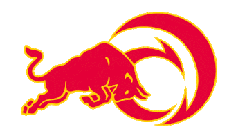 Alinghi Red Bull Racing Sticker