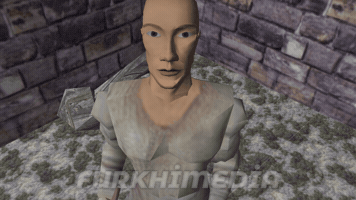 Mount And Blade Soldier GIF