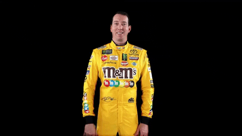 Urban Dictionary: kyle busch
