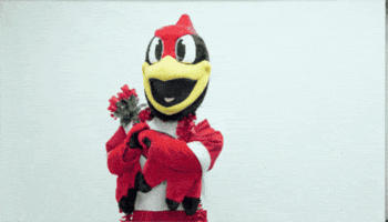 Mascot Reggie GIF by Illinois State University