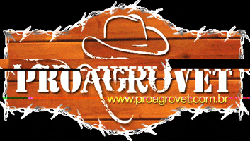 Cowboy Rodeo GIF