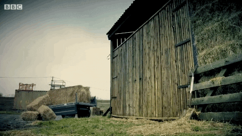 Farming GIFs - Get the best GIF on GIPHY