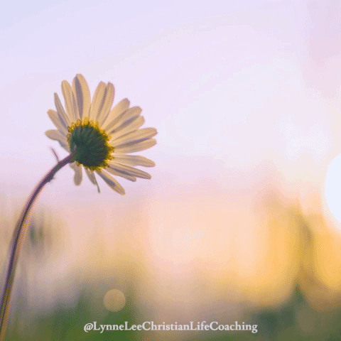 Joy Encouragement GIF