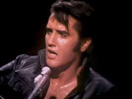 Trying To Get To You GIF by Elvis Presley