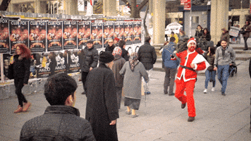 Aras GIF