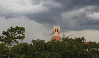 bell tower storm GIF by University of Florida