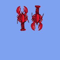 Lobster GIFs - Get the best GIF on GIPHY Lobster GIFs - Get the best GIF on GIPHY