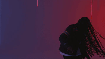 Rotterdam Airlines Ramg GIF