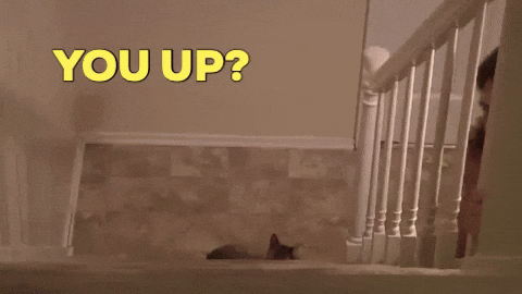 You Awake GIFs - Get the best GIF on GIPHY