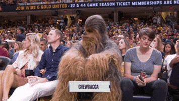 cleveland cavaliers celebrity GIF by NBA