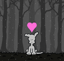 rainy day love GIF by Chippy the dog