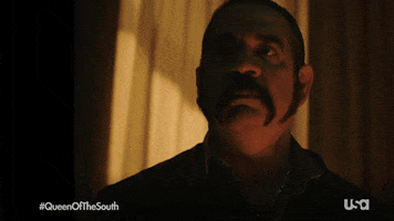 GIF by Queen of the South